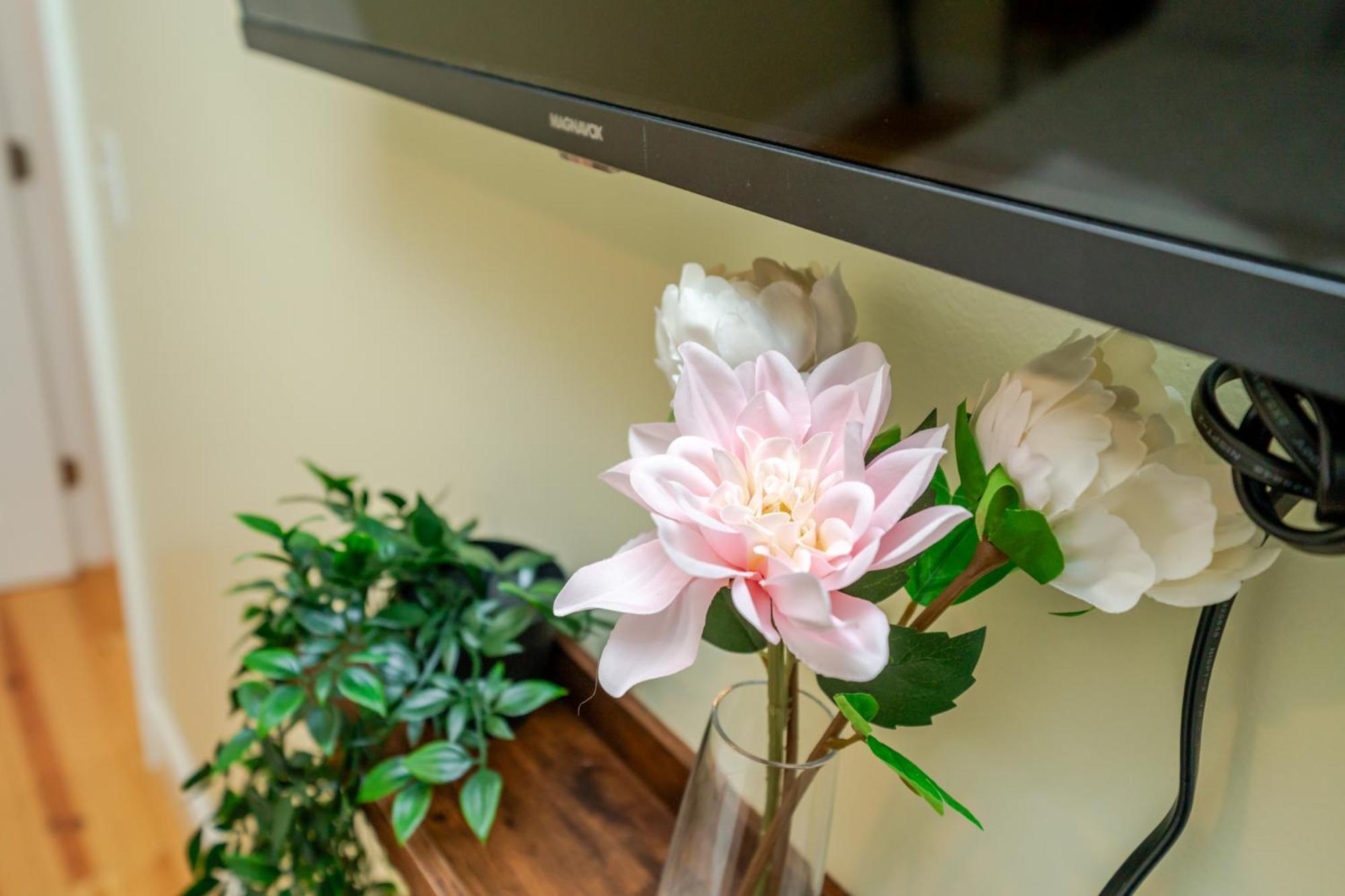 41 - 3Br Quincy - Lovely Townhouse Near Parish 外观 照片